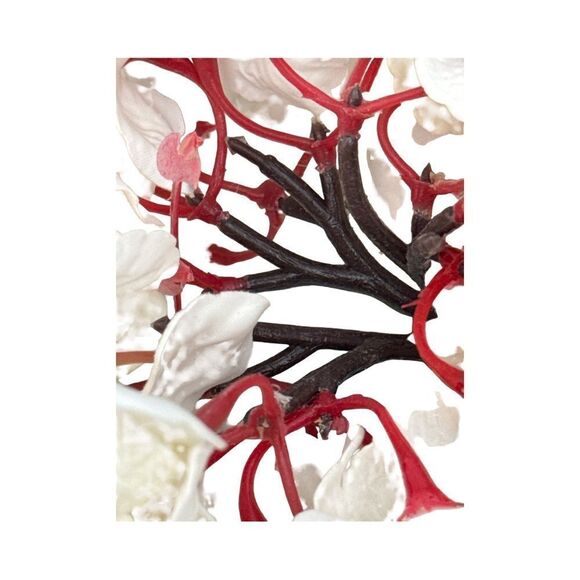 Elegant White Flowers. - Picture 5 of 5